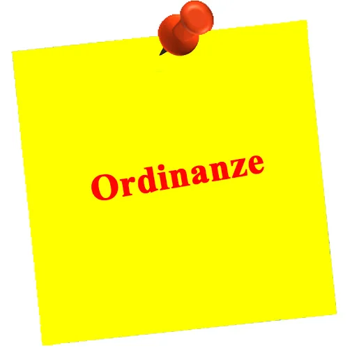 Ordinanza n. 7