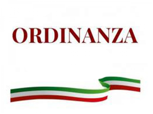 Ordinanza n. 4