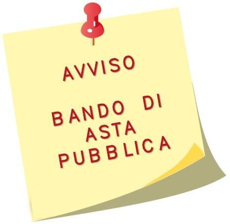 Bando di Asta Pubblica e Capitolato