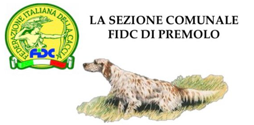 Prova libera su STARNE liberate senza sparo