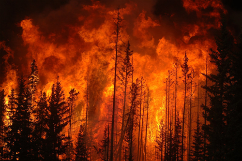 Rischio incendi boschivi:invito alla MASSIMA PRUDENZA